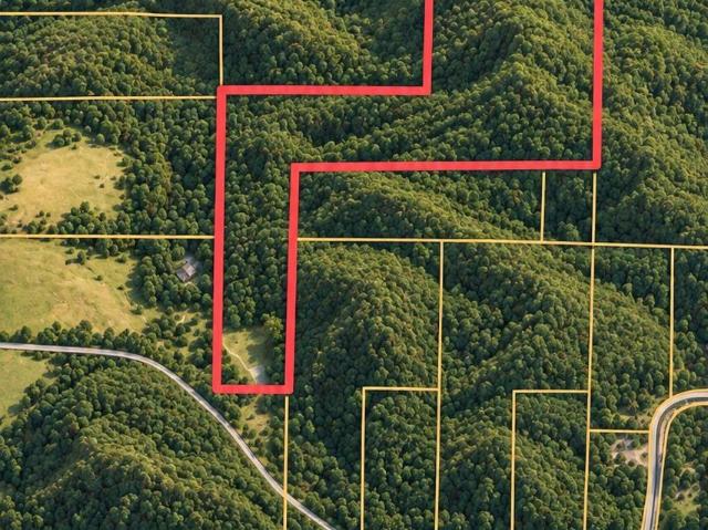 Land for sale in Clinton, Van Buren County