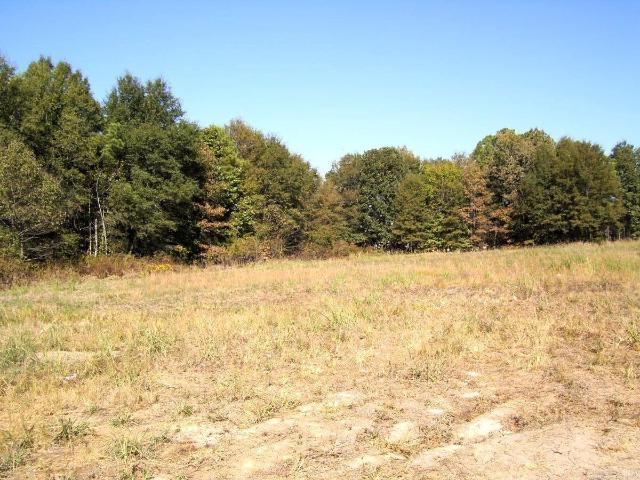 Land for sale in Ashdown, Little River County