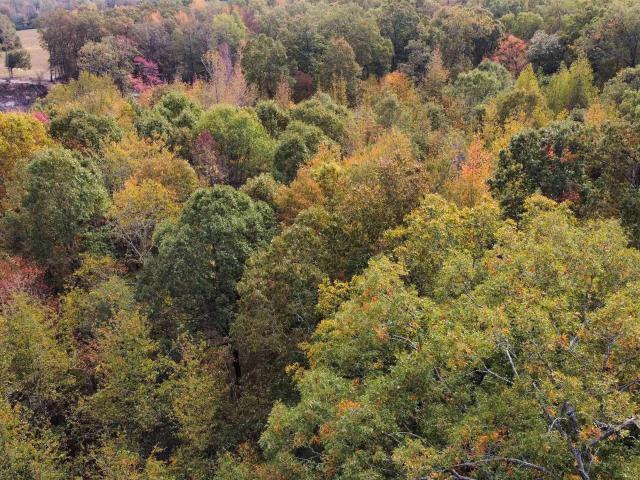 Land for sale in El Paso, White County
