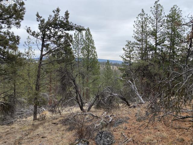 Land for sale in Oregonia
