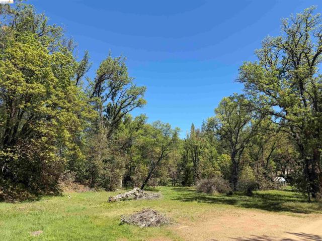 Land for sale in Groveland, California