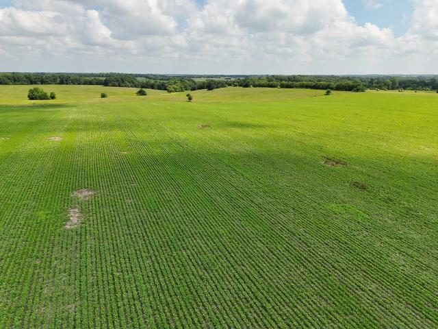 Land for sale in Hurdland, Missouri