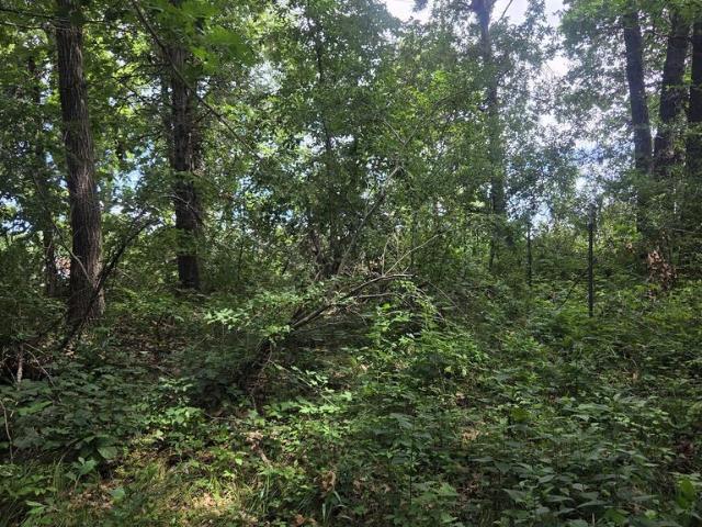 Land for sale in Novinger, Adair County