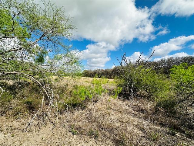Land for sale in San Patricio, Texas