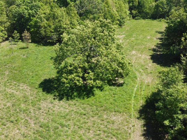 Land for sale in Humansville, Missouri