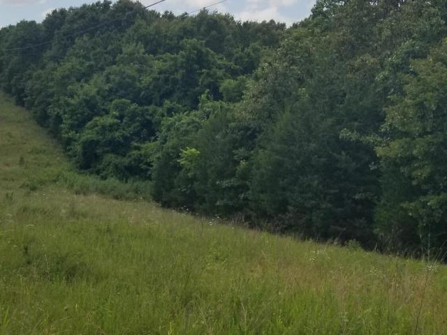 Land for sale in Thayer, Missouri