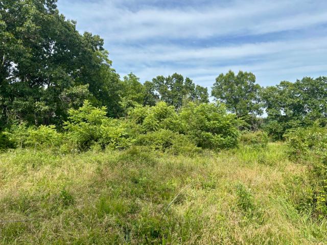Land for sale in Ava, Missouri
