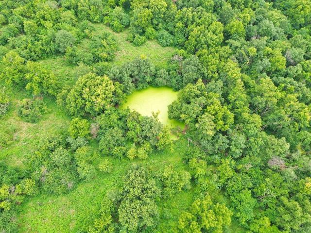 Land for sale in Lockwood, Missouri