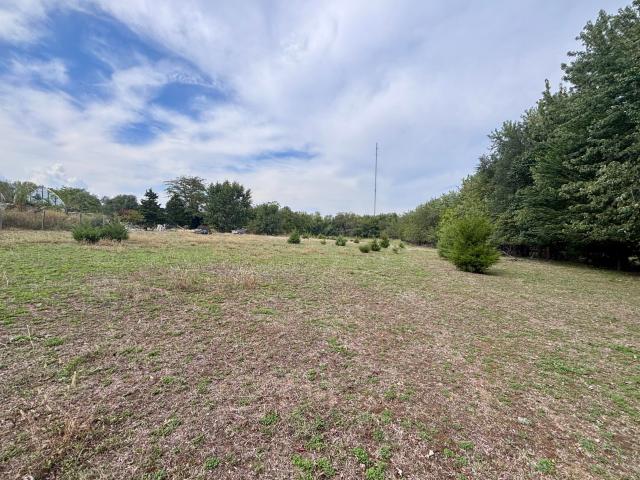 Land for sale in Republic, Greene County