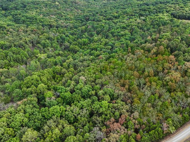 Land for sale in Wasola, Ozark County