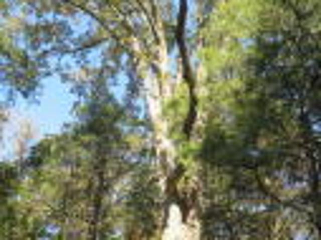 Land for sale in Ark