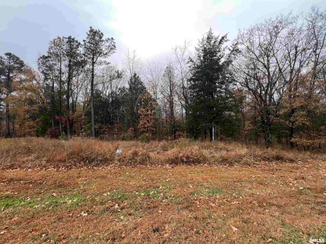 Land for sale in Goreville, Illinois