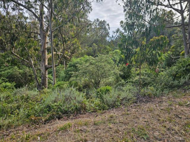Land for sale in San Mateo, California