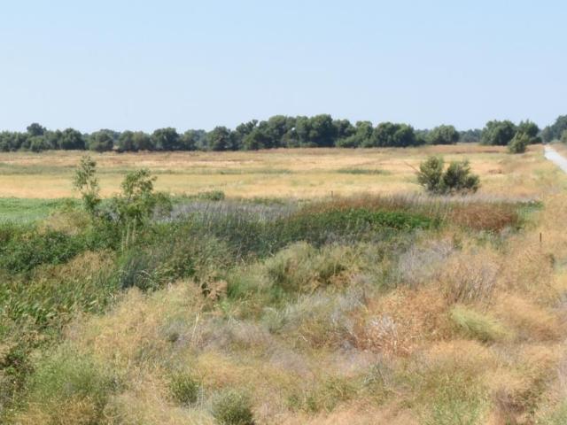 Land for sale in Knightsen, California