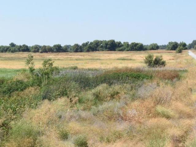 Land for sale in Knightsen, California