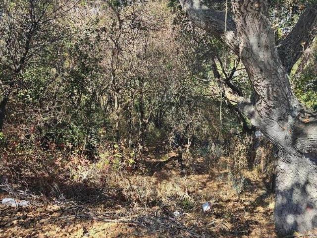 Land for sale in Belmont, San Mateo County