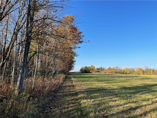 Land for sale in Trumansburg, New York
