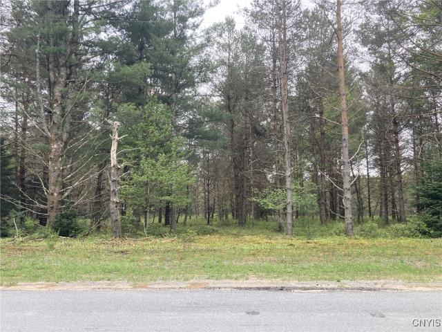 Land for sale in Oneida, New York