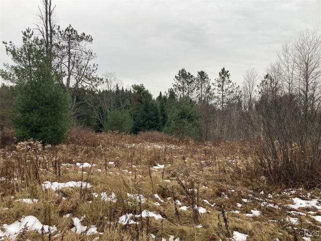 Land for sale in Cold Brook, New York