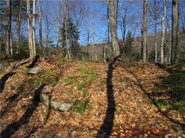 Land for sale in Old Forge, New York
