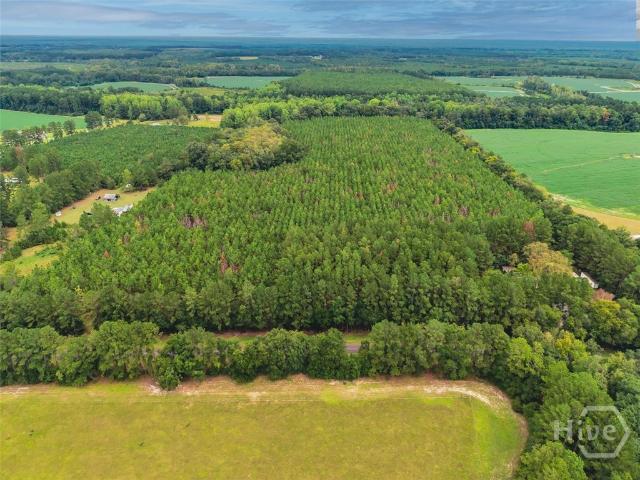Land for sale in Screven, Georgia