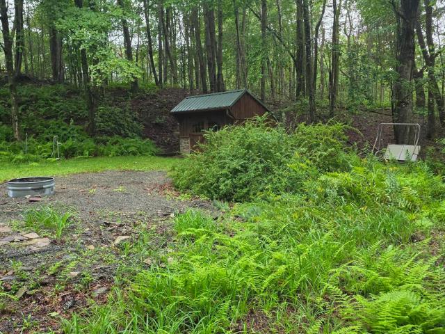 Land for sale in Newfoundland, Pennsylvania