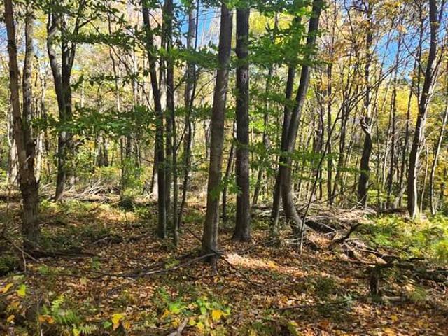 Land for sale in Bedford, Pennsylvania