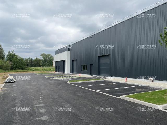 Local Commercial vente à Sélestat-Erstein, Goxwiller