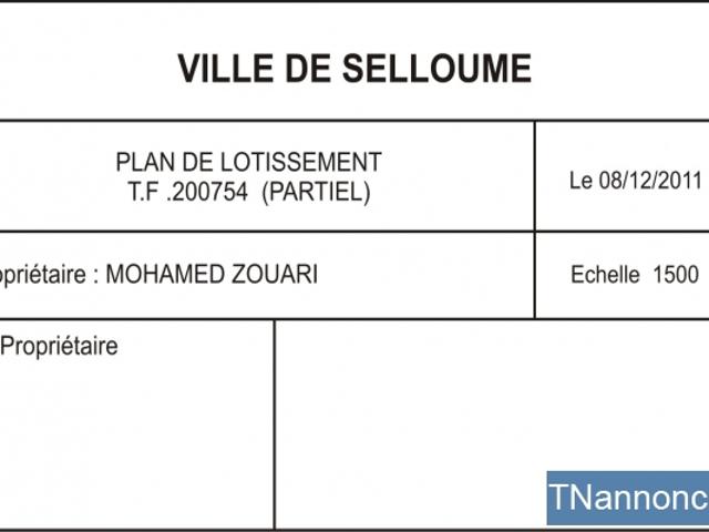 Terrain vente