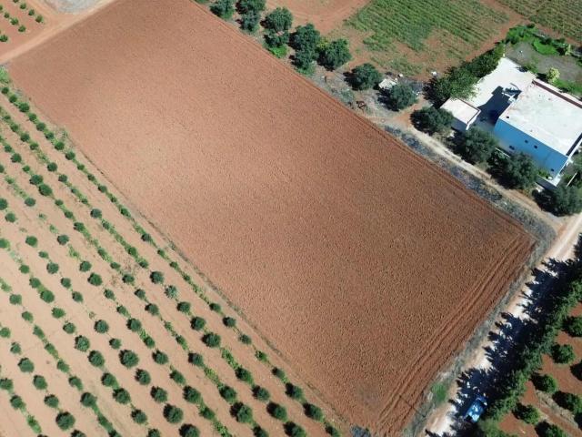 Terrain vente à Ariana, Ariana Ville