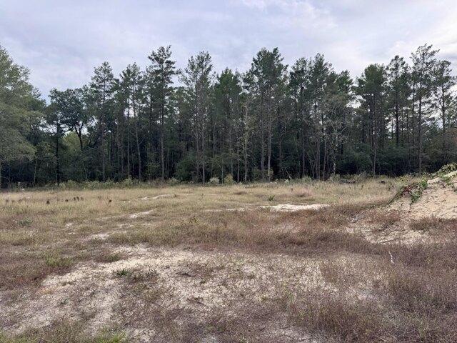 Land for sale in Defuniak Springs, Florida