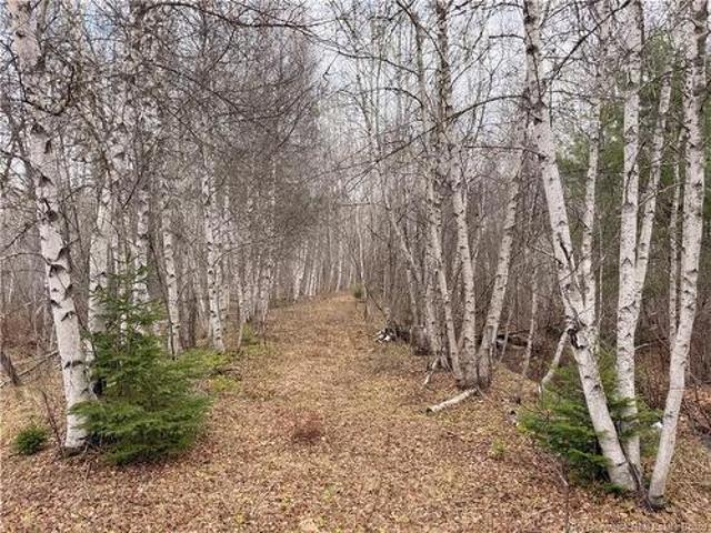 Land for sale in Weldford, New Brunswick