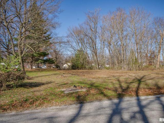 Land for sale in Kell, Illinois