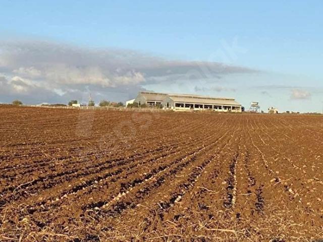 Arız, Karacabey içerisinde satılık Arsa