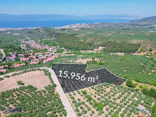 Mudanya, Bursa içerisinde satılık mülk