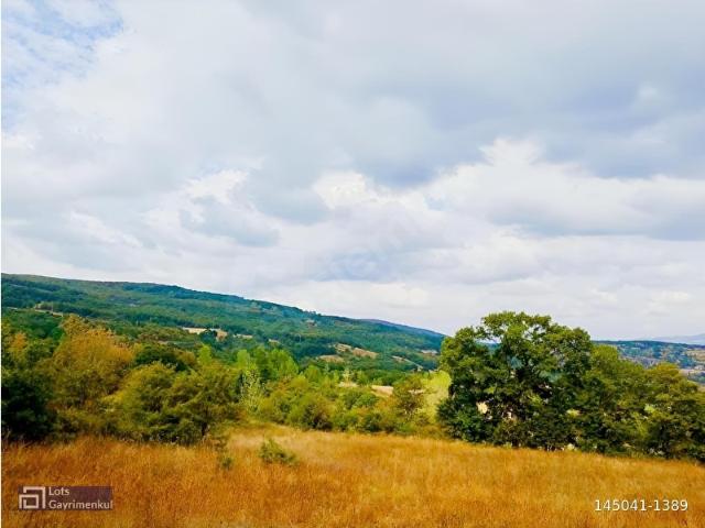 Yenice, Mustafakemalpaşa içerisinde satılık Arsa