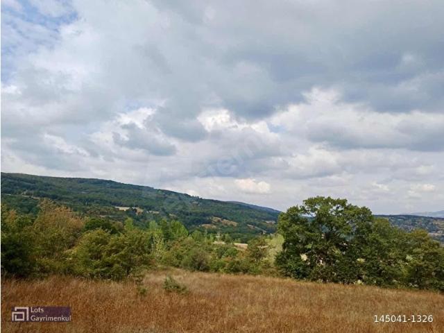 Mustafakemalpaşa, Bursa içerisinde satılık Arsa