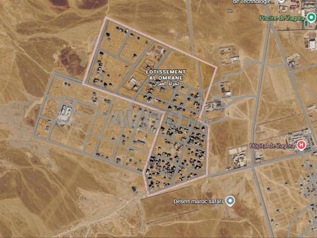 Propriété vente à Zagora