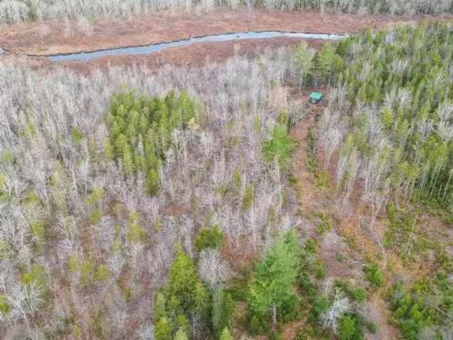 House for sale in Bear River, Digby County