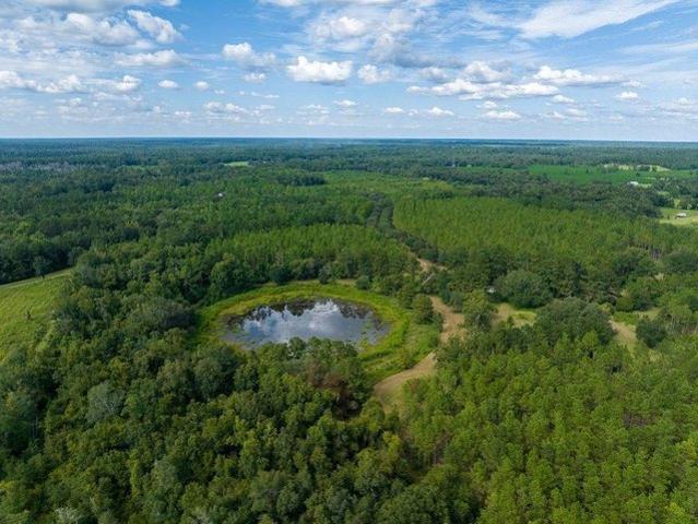 Land for sale in Wacissa, Jefferson County