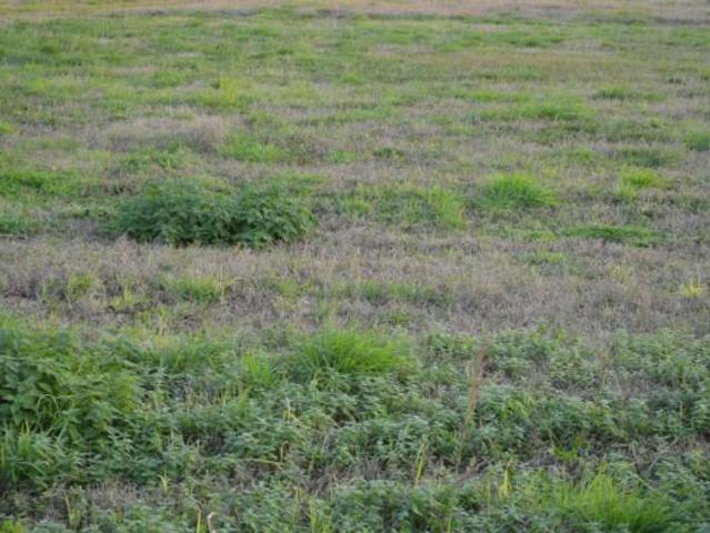 Terreno in vendita a Buttapietra, Veneto