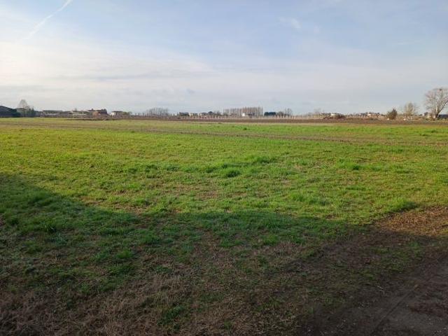 Terreno in vendita a Costa Di Rovigo, Veneto
