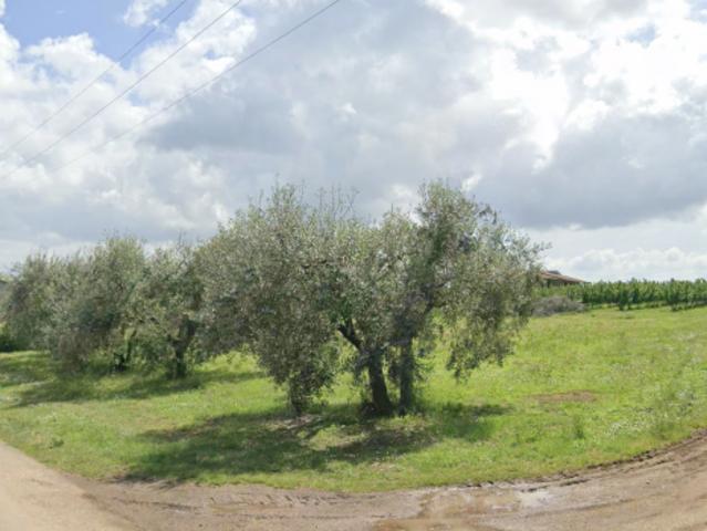 Terreno in vendita a Fabrica Di Roma, Lazio