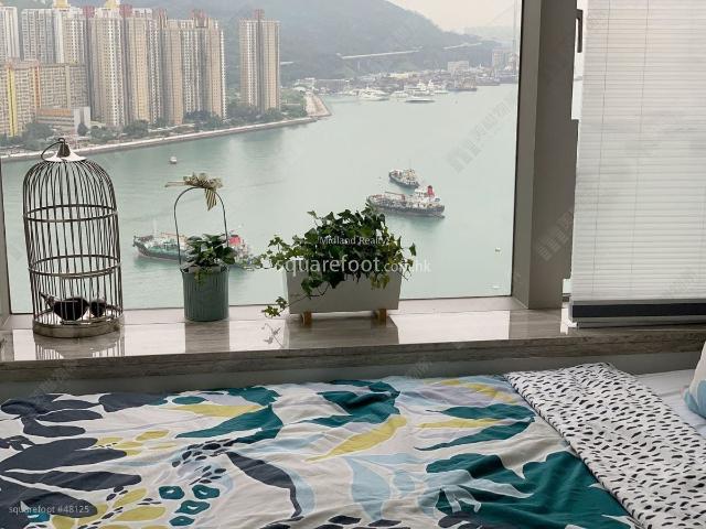 提供 出租 的 別墅