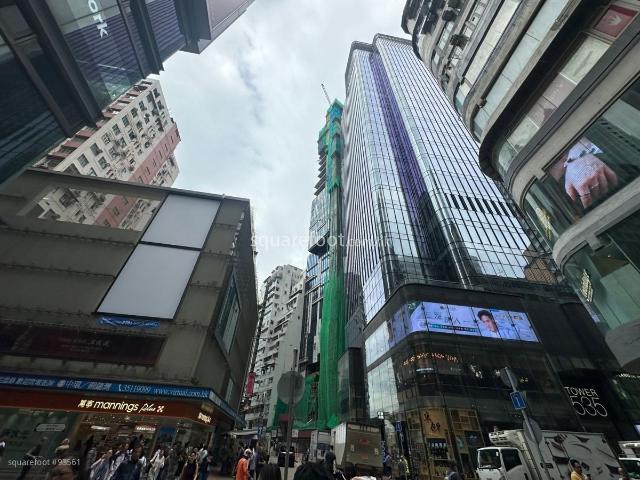 提供 出租 的 別墅
