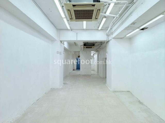 提供 出租 的 別墅