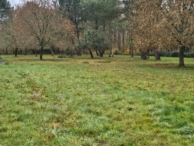 Terrain vente à Louchats, Gironde