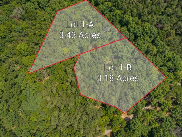 Property for sale in Berkeley Springs, West Virginia