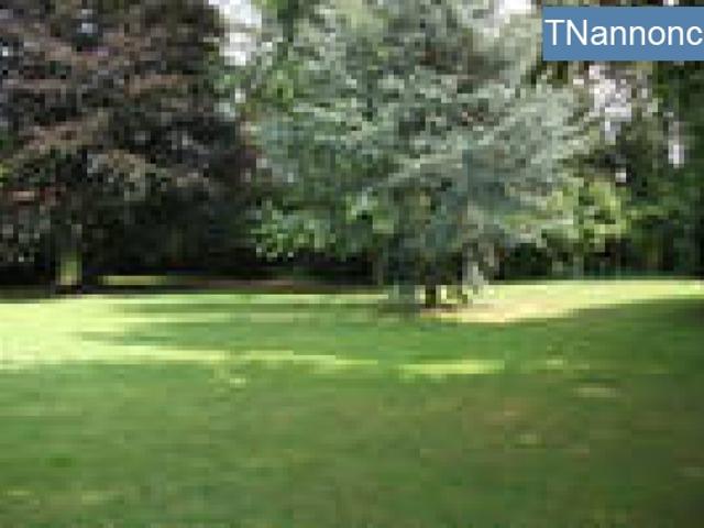 Appartement location