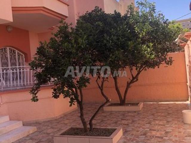 Propriété location à Saida